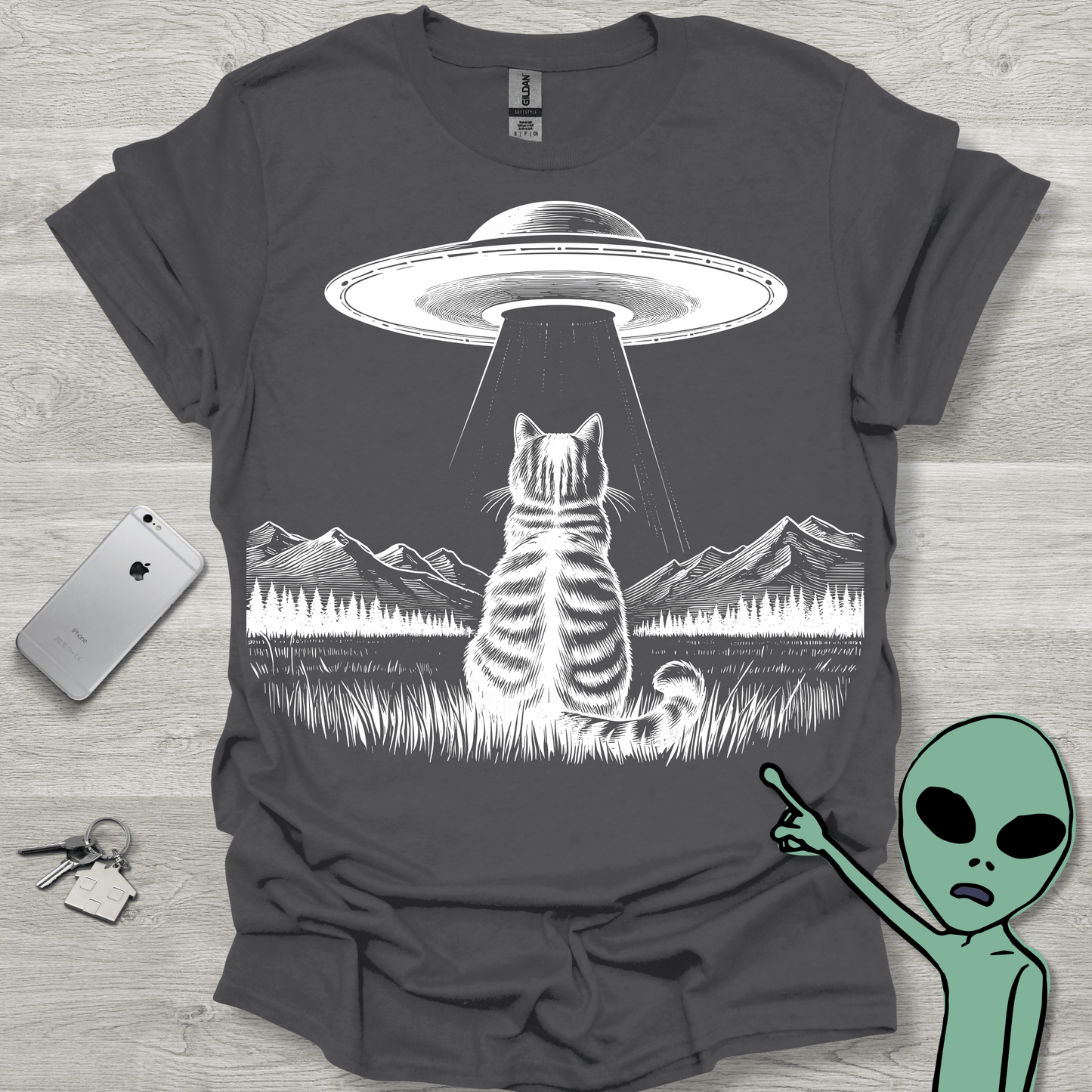 Cat Abducted UFO